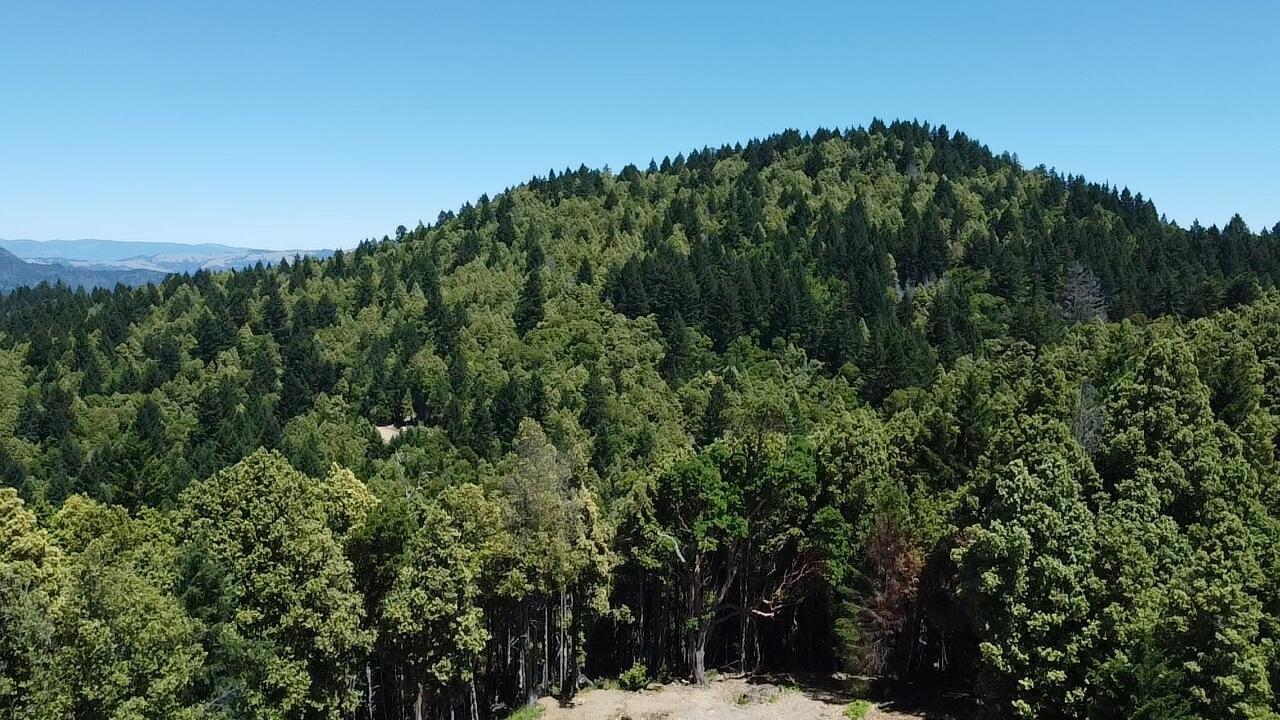 4751 Blue Slide Creek Road Garberville, CA 95542 - Photo 21 of 27