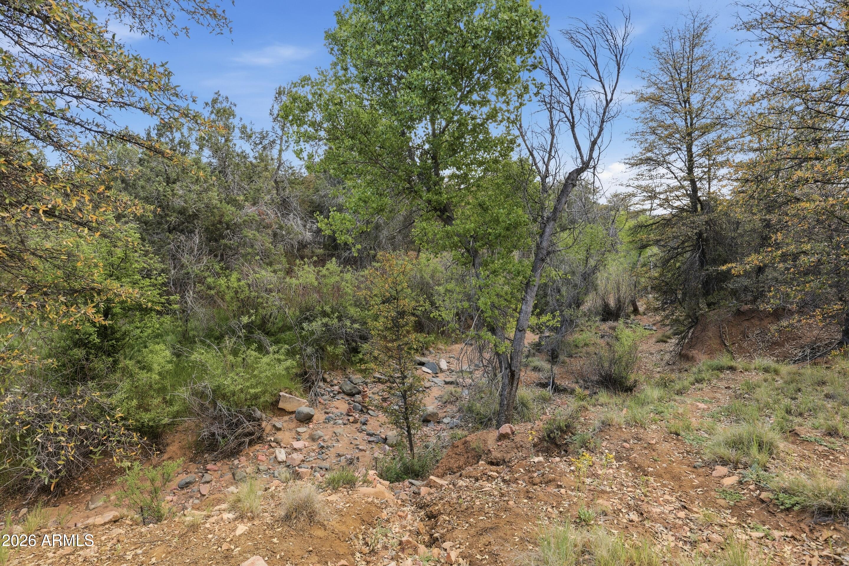 8135 West Gibson Ranch Road Payson, AZ 85541 - Photo 43 of 43 a view of a forest with trees in the background