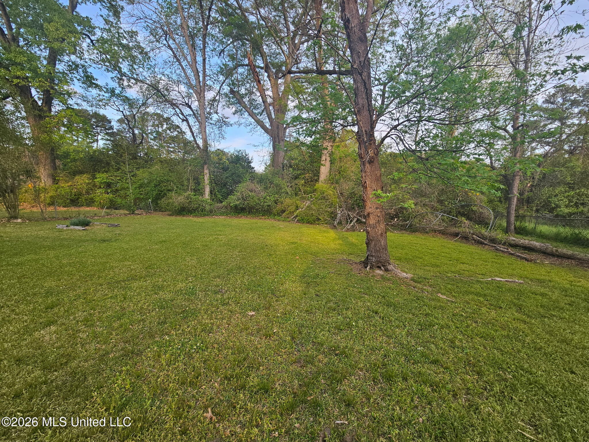 3817 29th Street Meridian, MS 39307 - Photo 22 of 22 Backyard