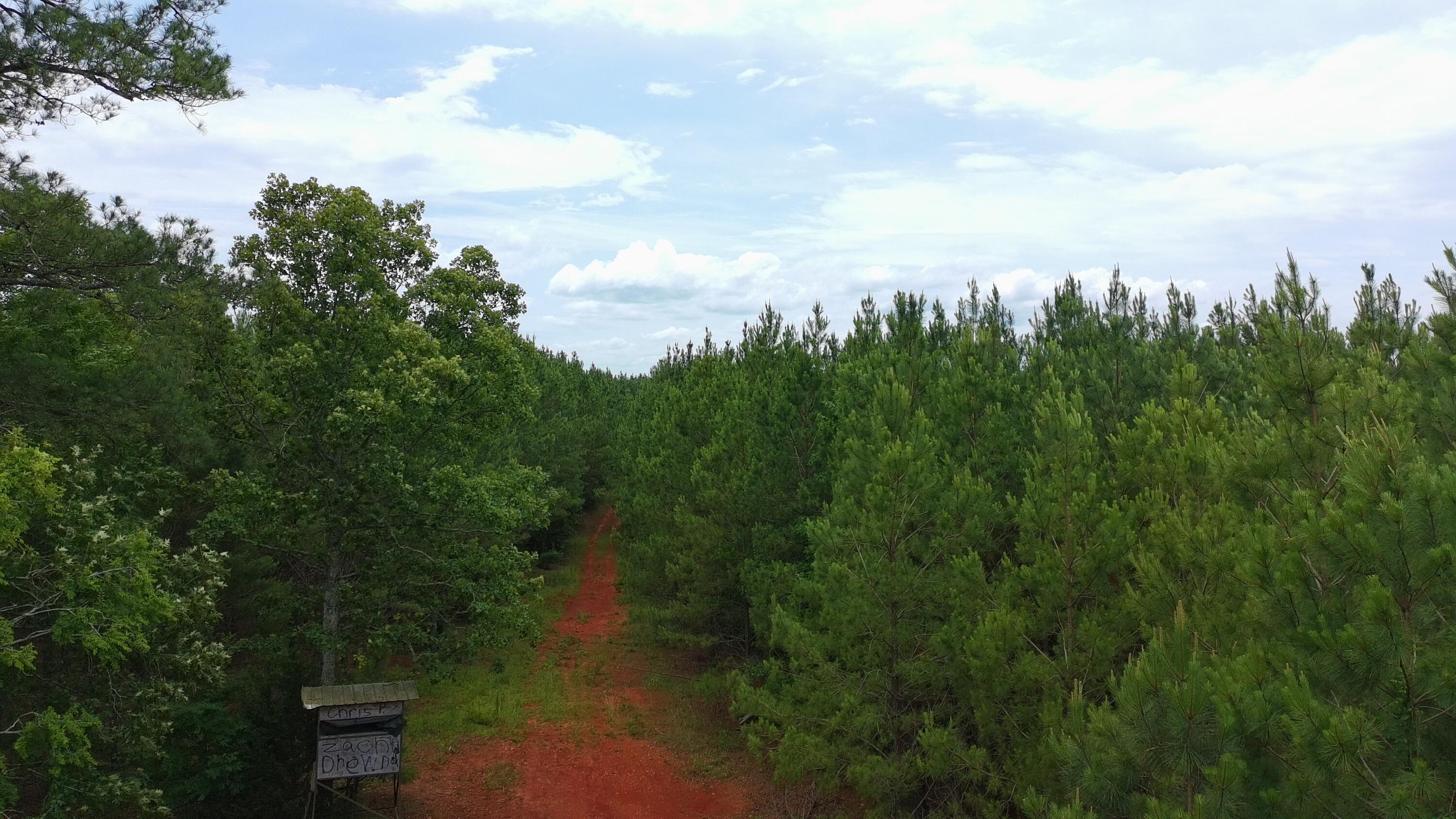 Tbd Pineywood Road, Unit TBD Saluda, SC 29138 - Photo 17 of 17