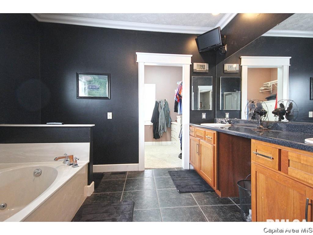 4890 County Road 6 1/4 South Rochester, IL 62563 - Photo 20 of 36 Gallery Image 20