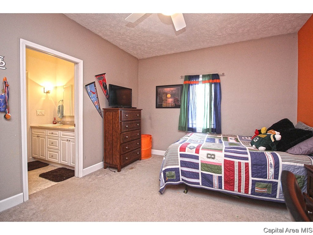 4890 County Road 6 1/4 South Rochester, IL 62563 - Photo 22 of 36 Gallery Image 22