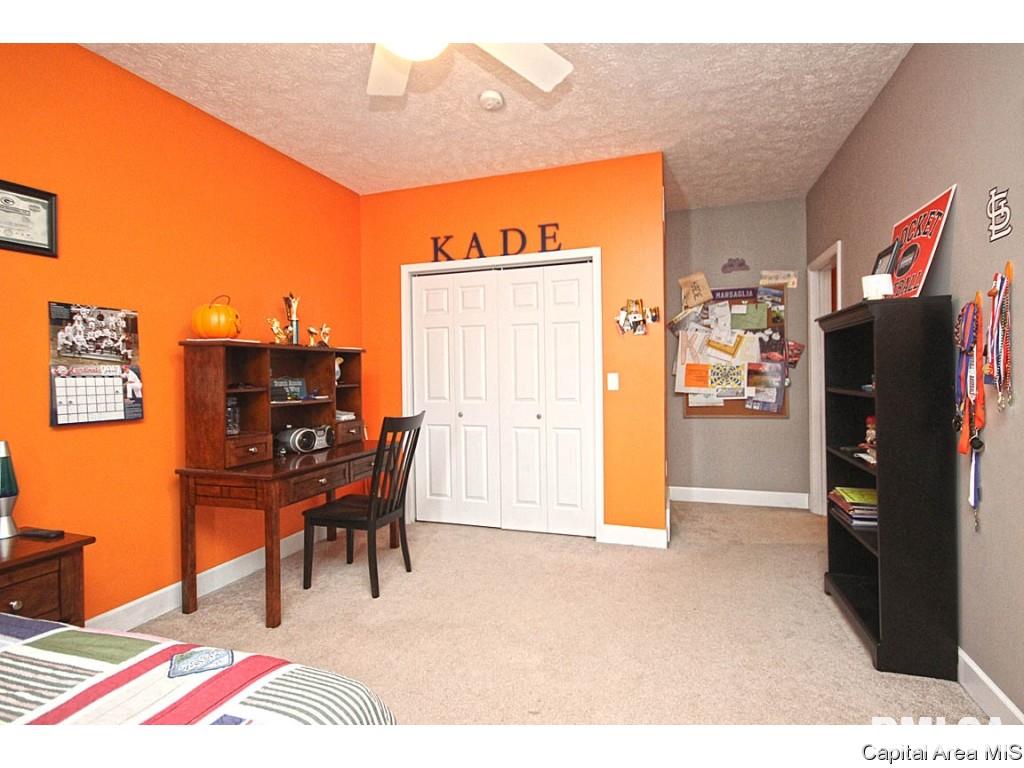 4890 County Road 6 1/4 South Rochester, IL 62563 - Photo 23 of 36 Gallery Image 23