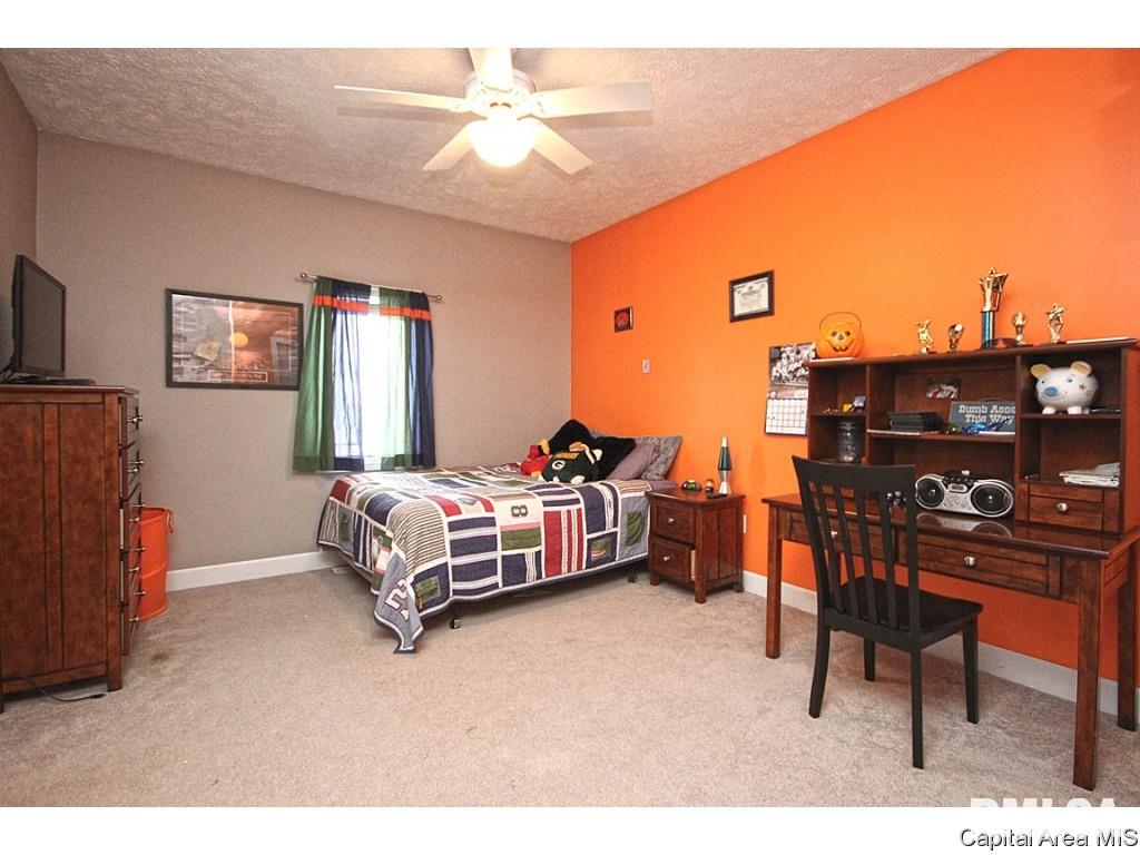 4890 County Road 6 1/4 South Rochester, IL 62563 - Photo 24 of 36 Gallery Image 24