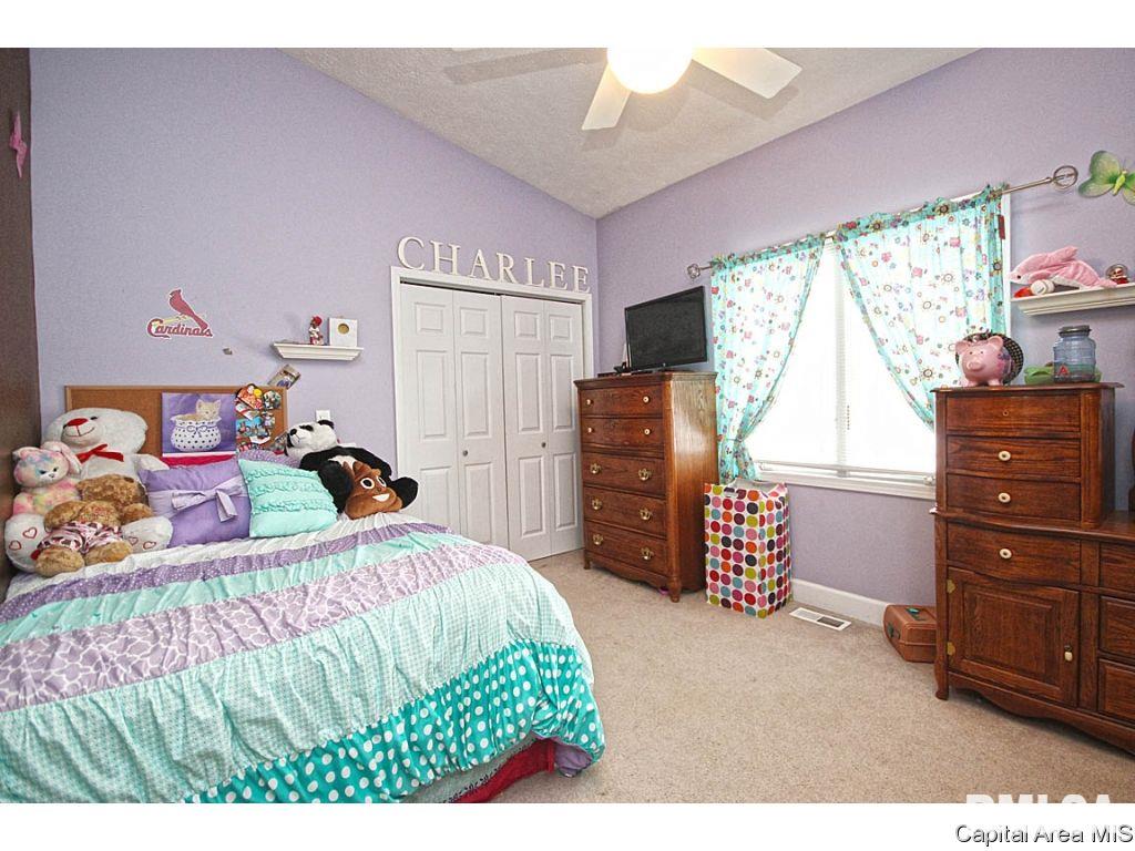 4890 County Road 6 1/4 South Rochester, IL 62563 - Photo 26 of 36 Gallery Image 26
