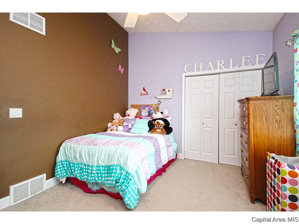 4890 County Road 6 1/4 South Rochester, IL 62563 - Photo 27 of 36 Gallery Image 27