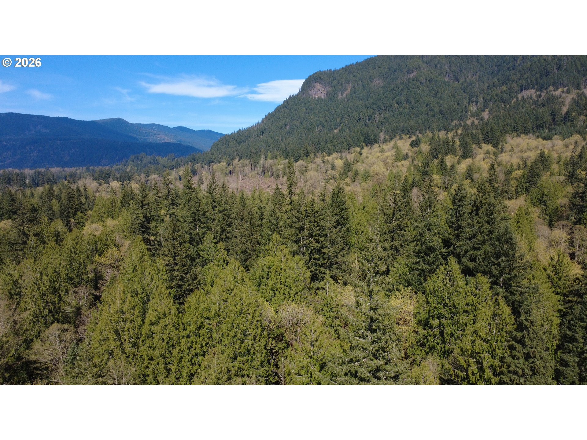 Welches Road Welches, OR 97067 - Photo 22 of 24 a open area with mountains in the background