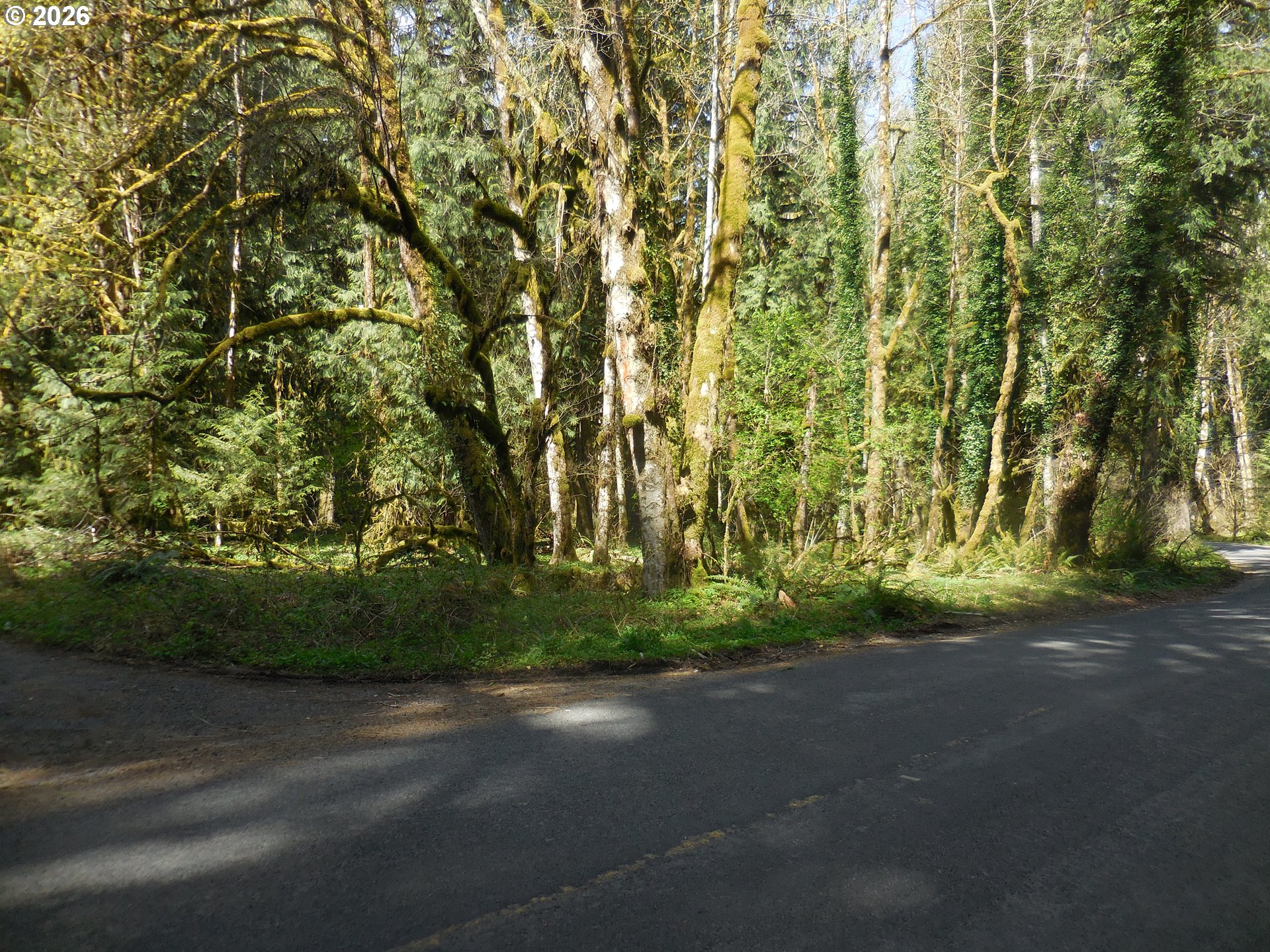 Welches Road Welches, OR 97067 - Photo 4 of 24 a view of road and trees