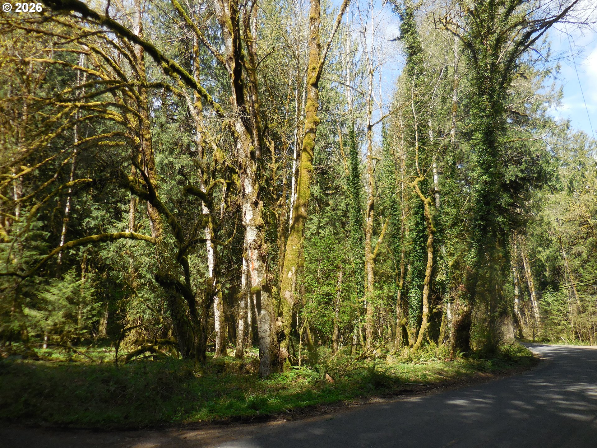 Welches Road Welches, OR 97067 - Photo 5 of 24 a view of a yard