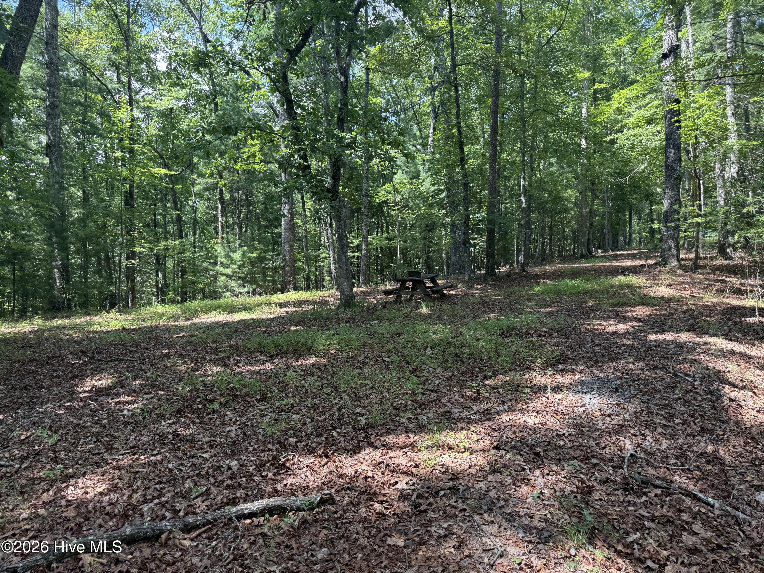 1 Friendship Church Road Murphy, NC 28906 - Photo 1 of 8