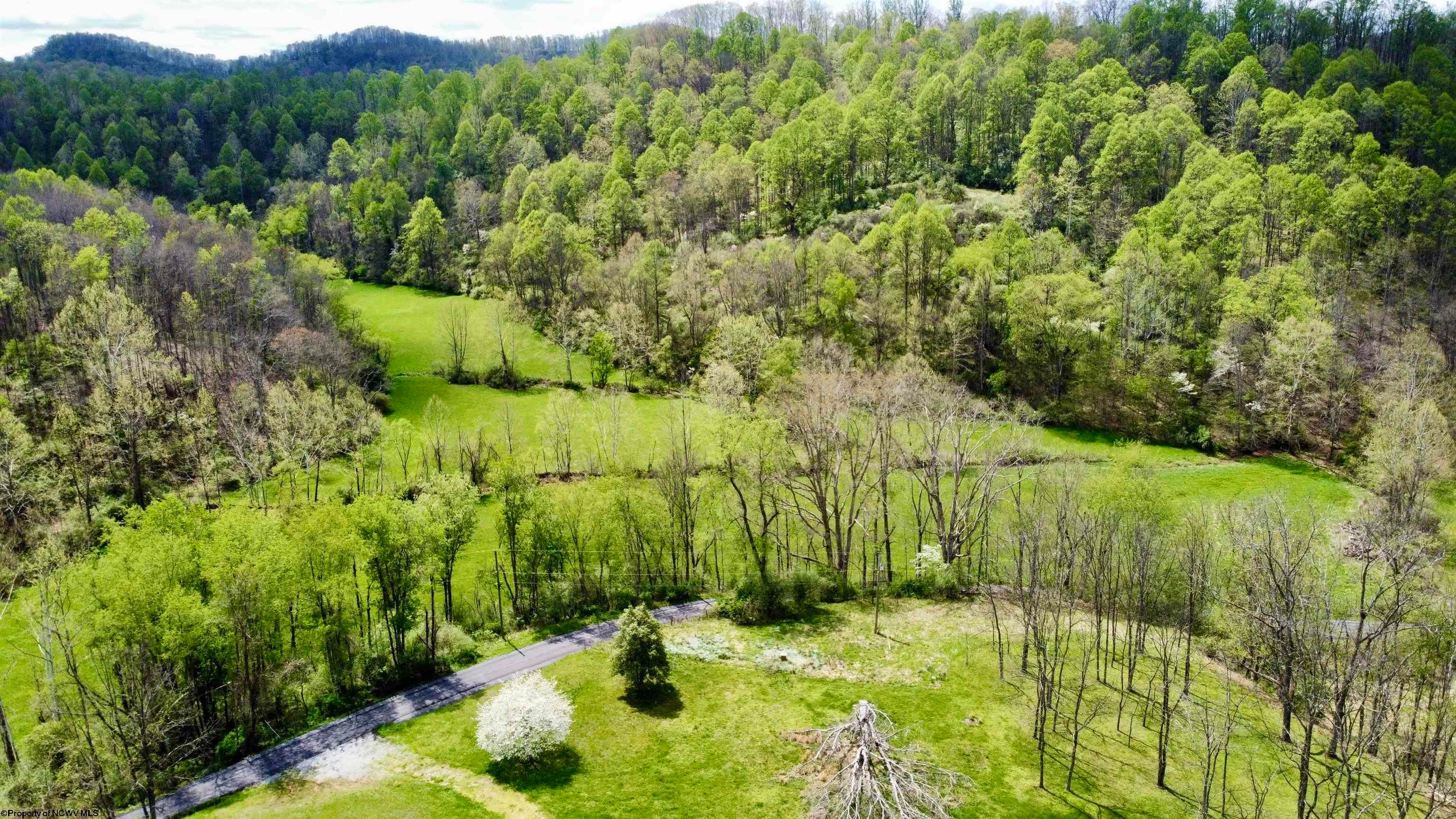 5601 Clover Fork Road Orlando, WV 26412 - Photo 20 of 44 Gallery Image 20