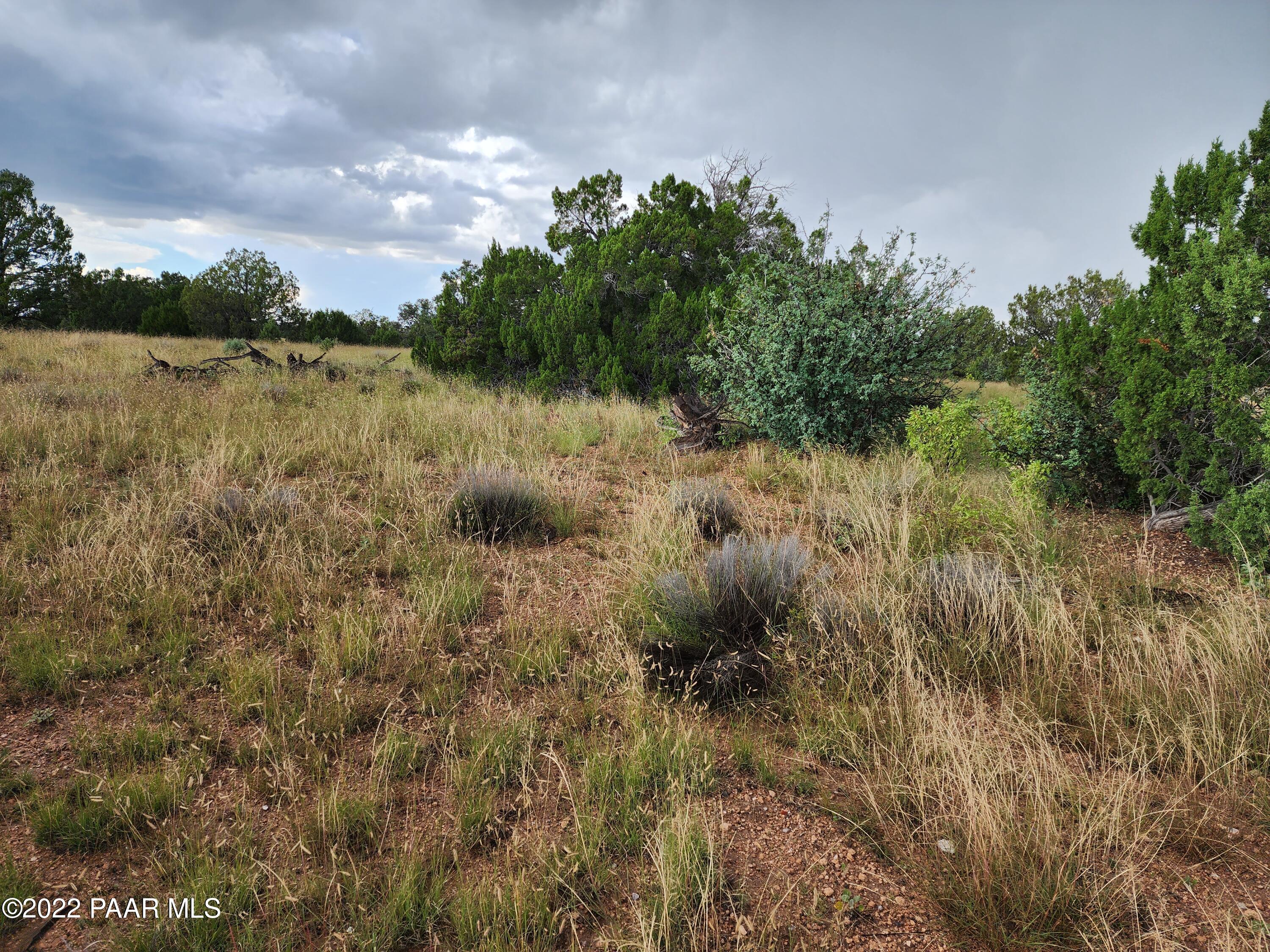 0 Stewart Road Seligman, AZ 86337 - Photo 12 of 15 a view of lake with green space