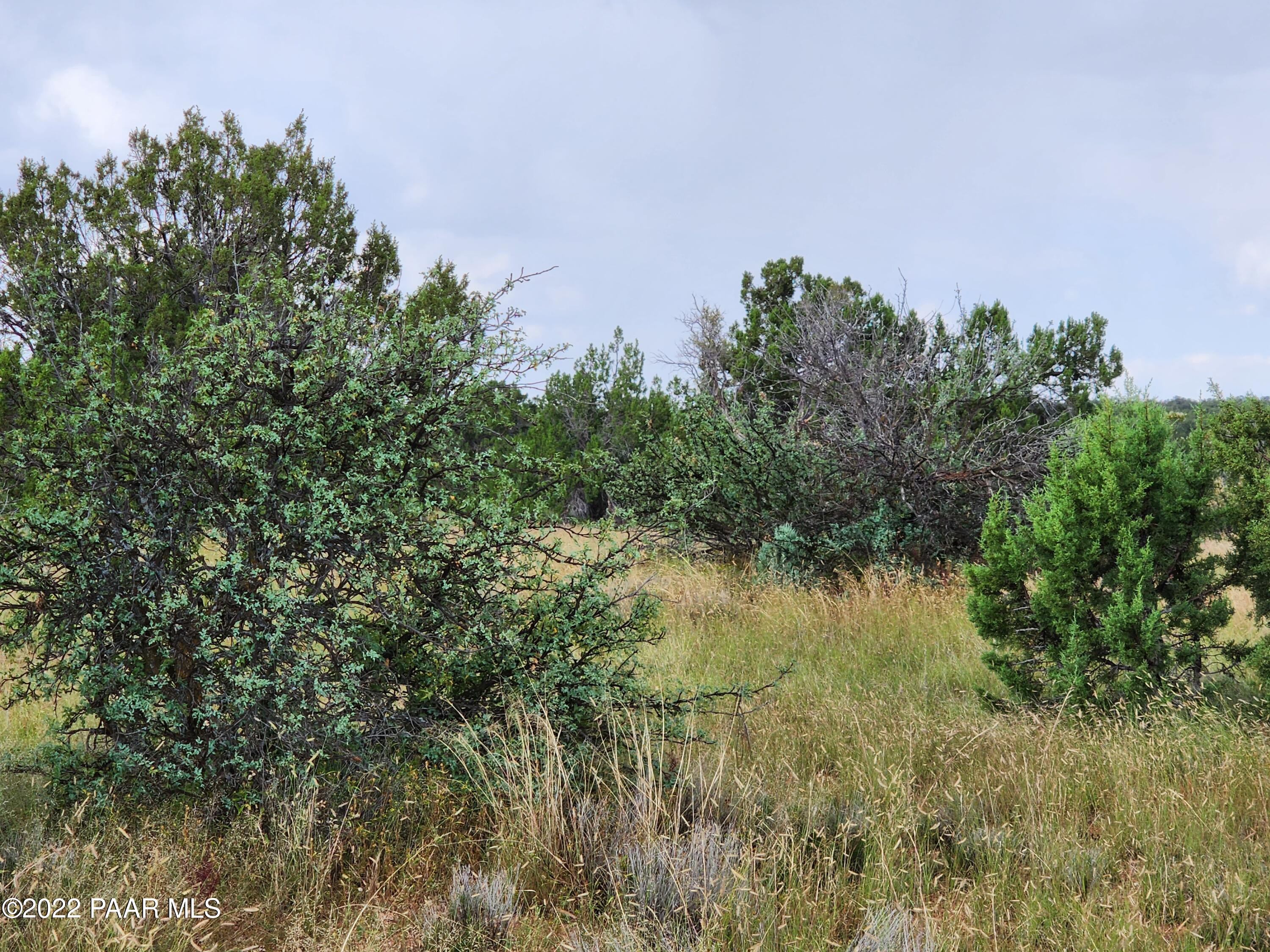 0 Stewart Road Seligman, AZ 86337 - Photo 2 of 15 a view of a lake with a tree in the background