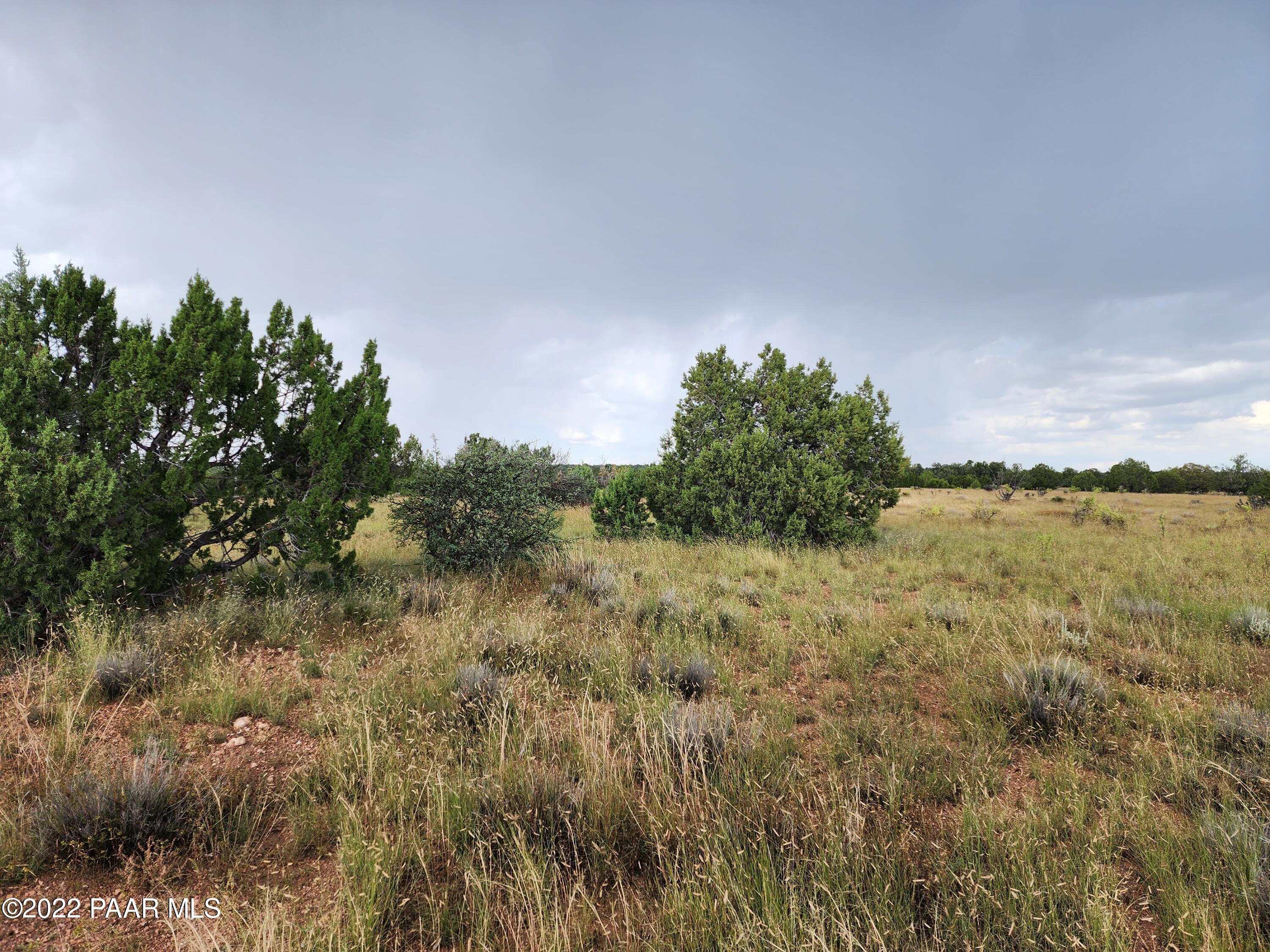 0 Stewart Road Seligman, AZ 86337 - Photo 7 of 15 a view of a field of grass and trees