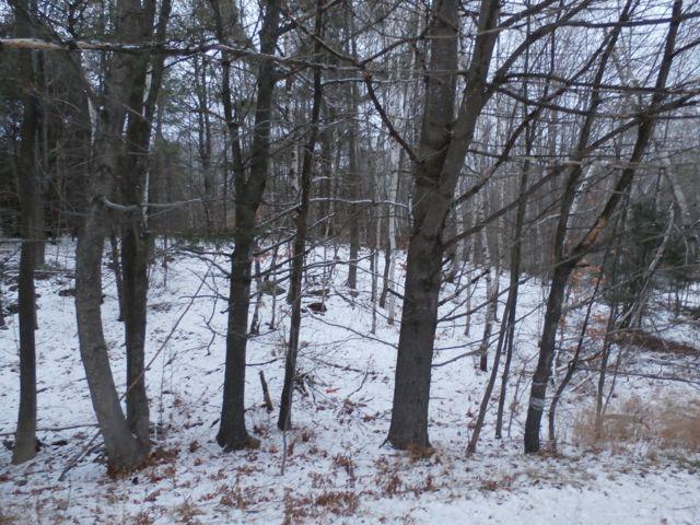 2 Lake Road Wilton, ME 04294 - Photo 18 of 25 PC090760