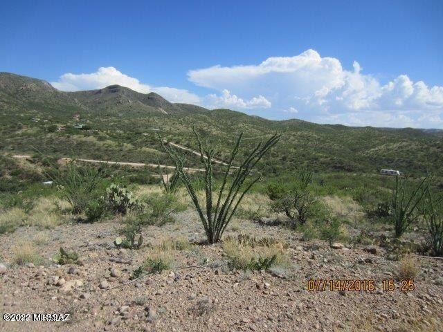 15255 East Hillton Ranch Road Vail, AZ 85641 - Photo 8 of 14