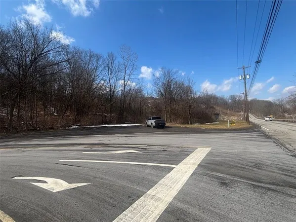 a view of dirt yard with a large tree
