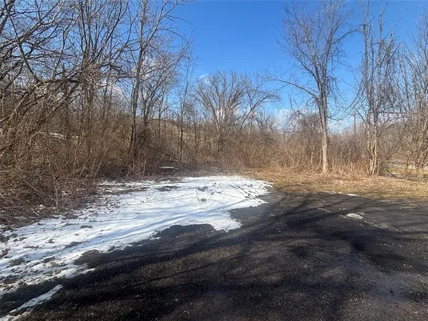 a view of a forest with trees