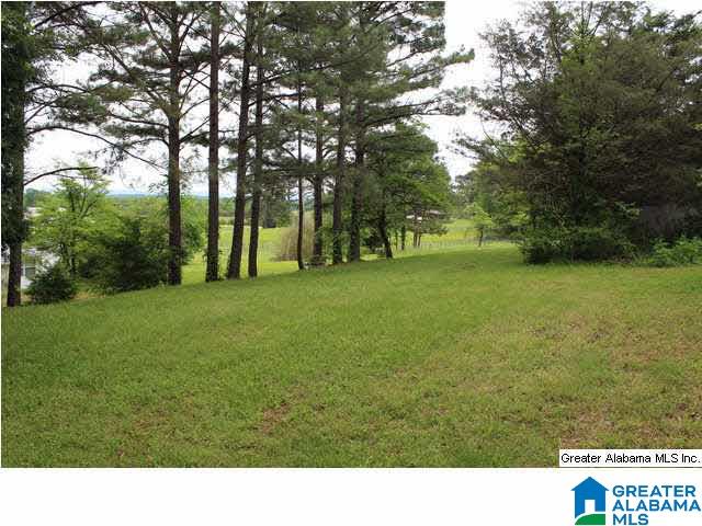 1211 Airport Road Eastaboga, AL 36260 - Photo 29 of 32