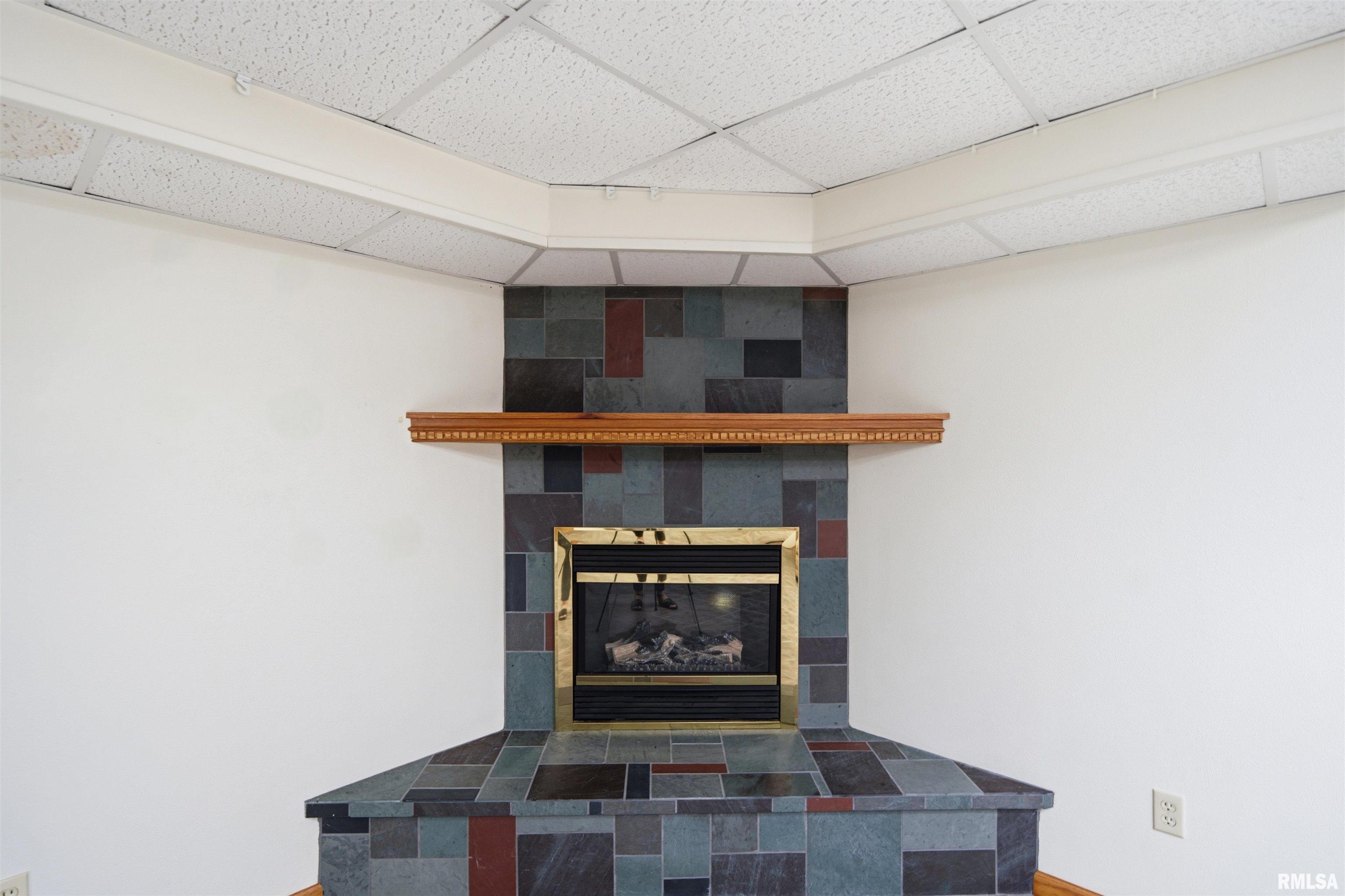 2006 West Bristol Hollow Road Dunlap, IL 61525 - Photo 41 of 68