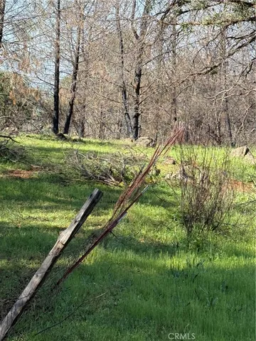 a view of a garden with a bench