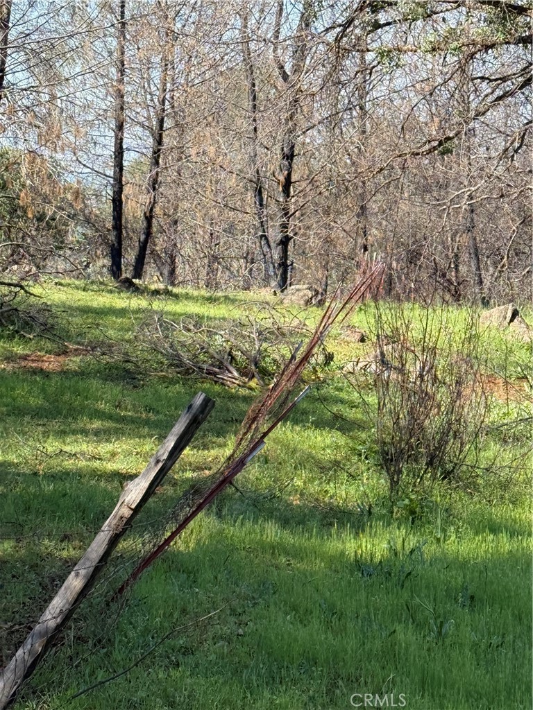522 Galen Ridge Road Berry Creek, CA 95916 - Photo 2 of 2 a view of a garden with a bench