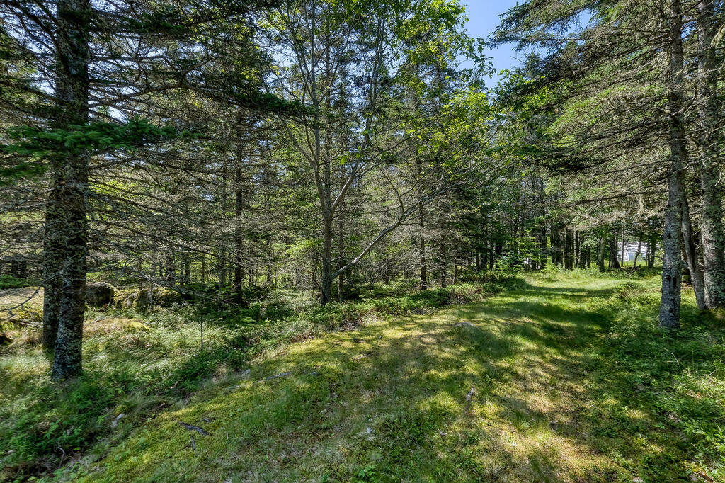 68 Tea Hill Road Stonington, ME 04681 - Photo 11 of 29 68 Tea Hill Land
