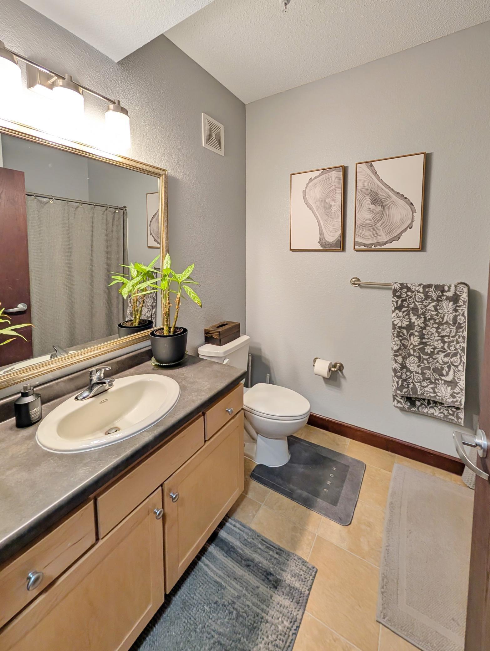 308 East 18th Street, Unit 305 Minneapolis, MN 55404 - Photo 9 of 42