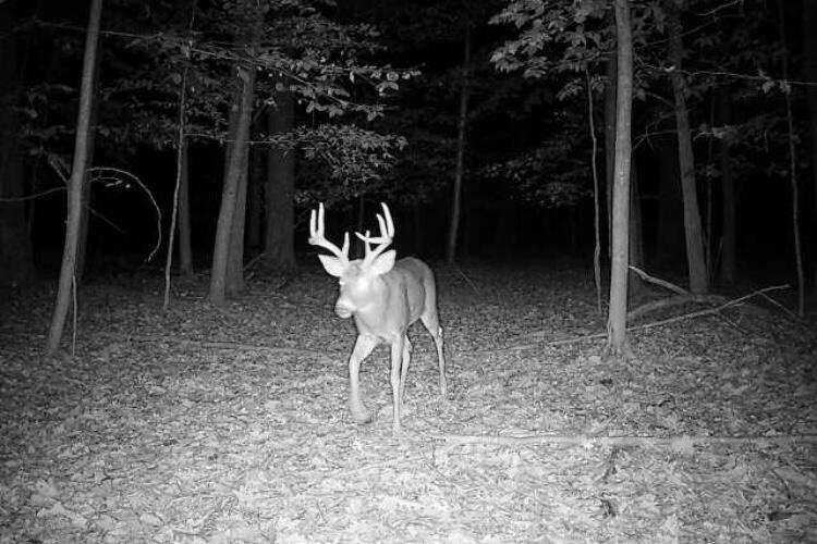 Hill Road Manistee, MI 49660 - Photo 3 of 21 19