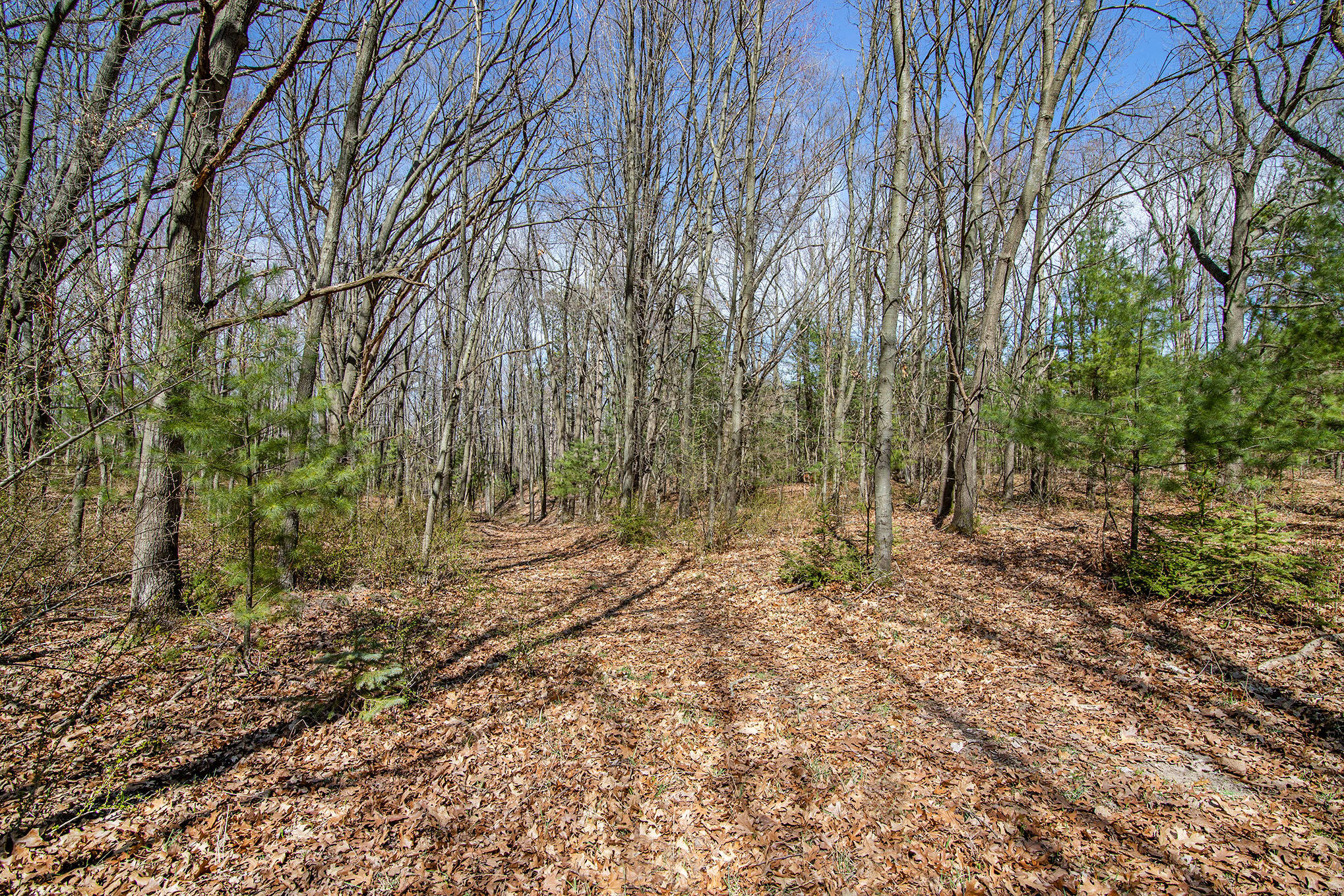 Hill Road Manistee, MI 49660 - Photo 8 of 21 12