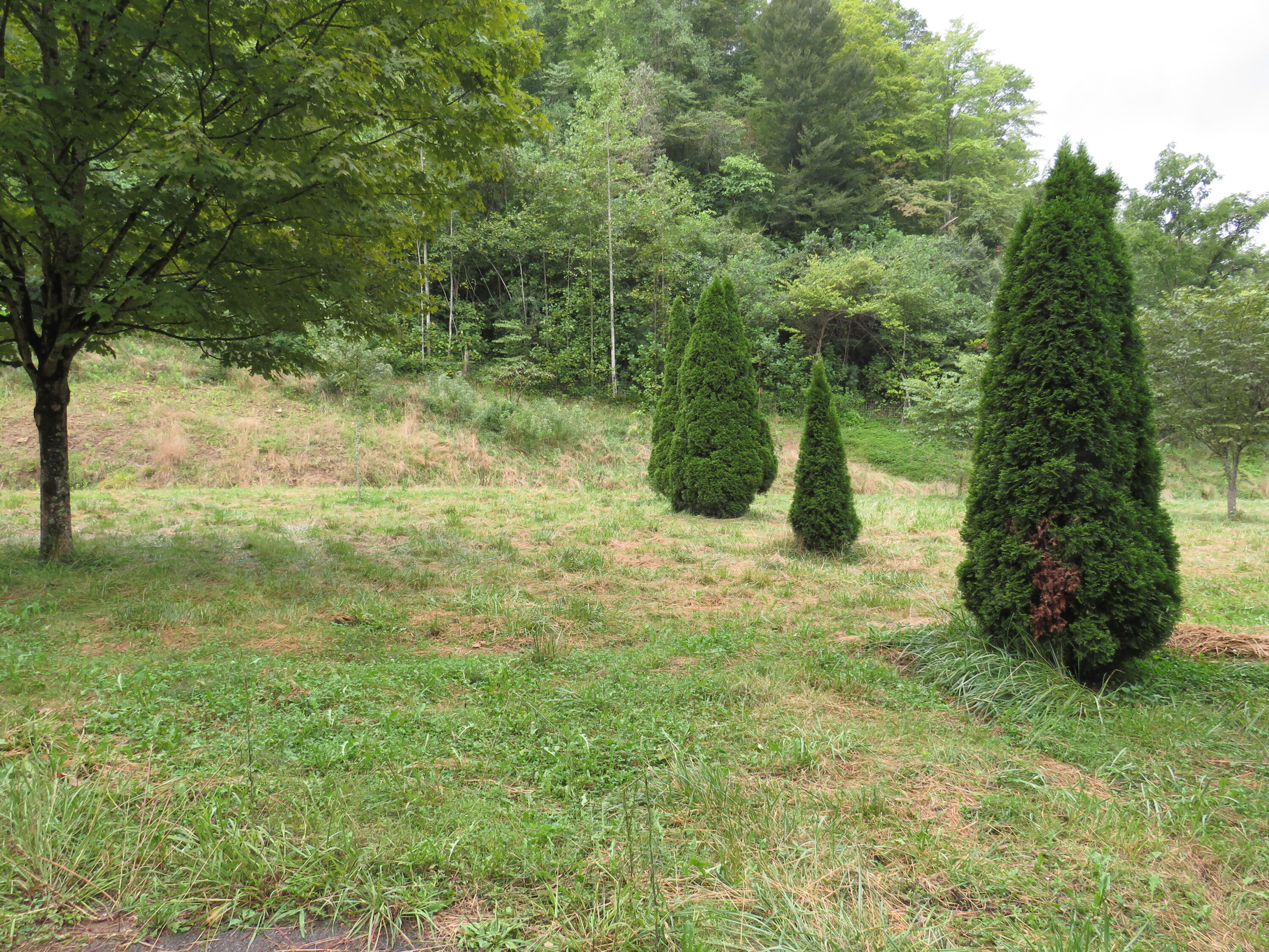 108 Lost Fork Road Manchester, KY 40962 - Photo 28 of 111 IMG_4358