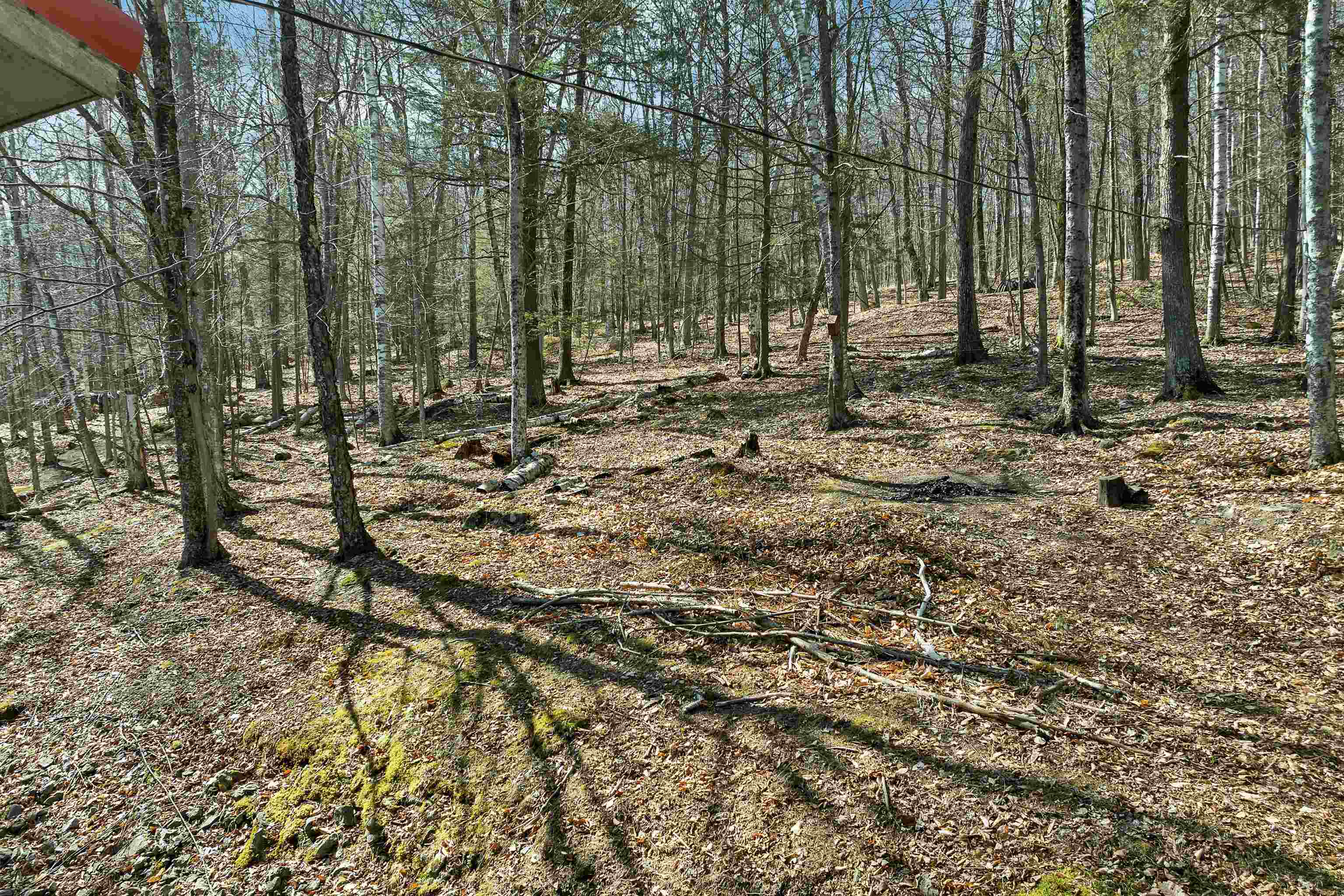 878 Rattlesnake Island Alton, NH 03810 - Photo 40 of 47