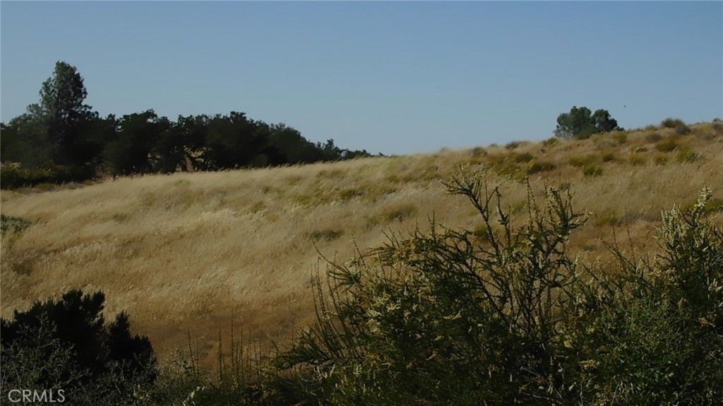 7878 O'Donovan Road Creston, CA 93432 - Photo 9 of 9