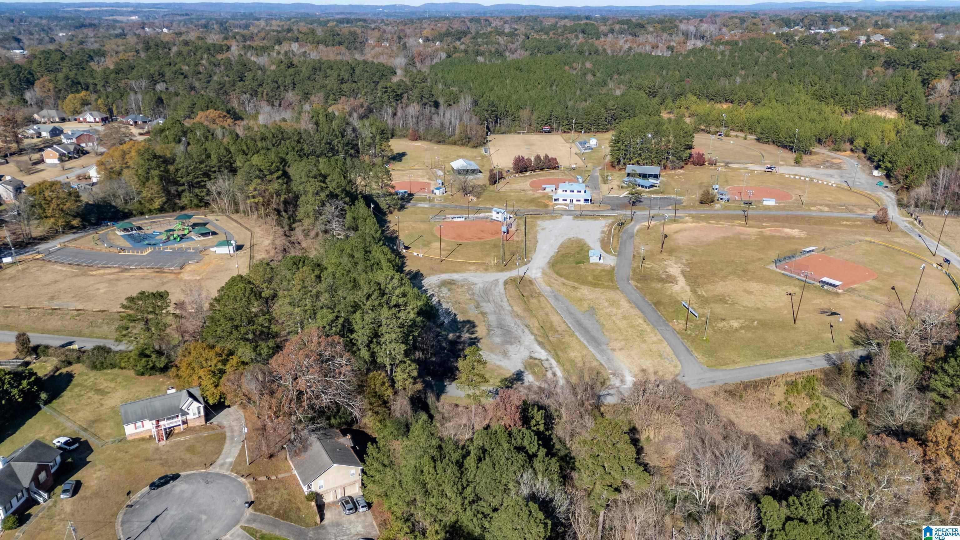 7808 Summer Circle Morris, AL 35116 - Photo 52 of 56