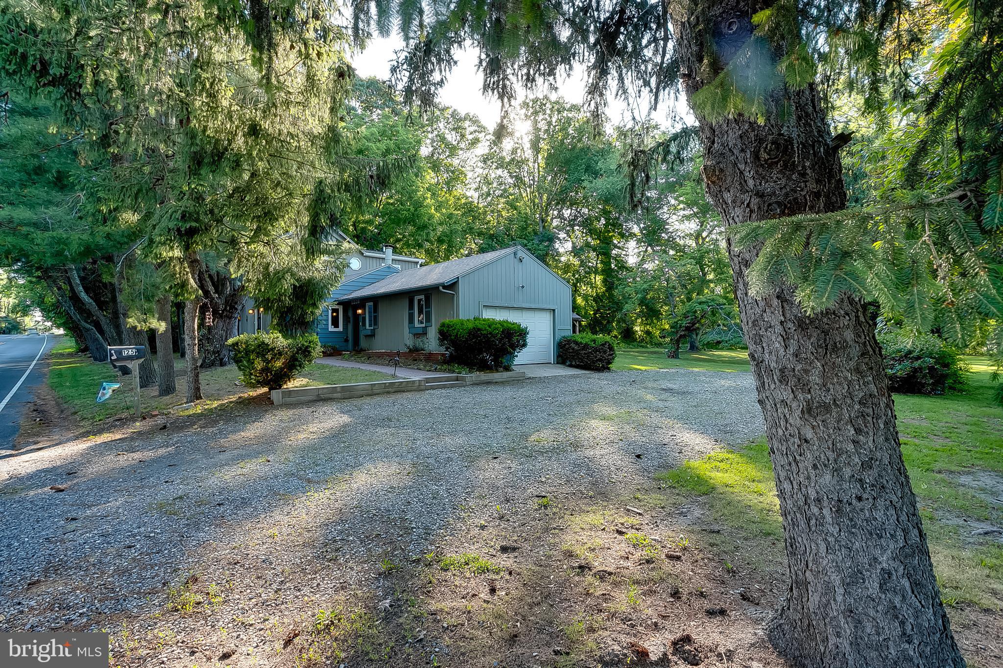 125 Union Mill Road Mount Laurel, NJ 08054 - Photo 45 of 45 Exterior Side Driveway