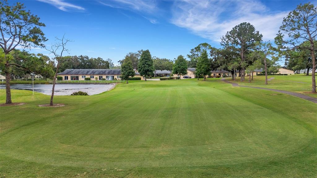 1065 Tartan Drive, Unit C Palm Harbor, FL 34684 - Photo 50 of 91 a view of a golf course with a lake view