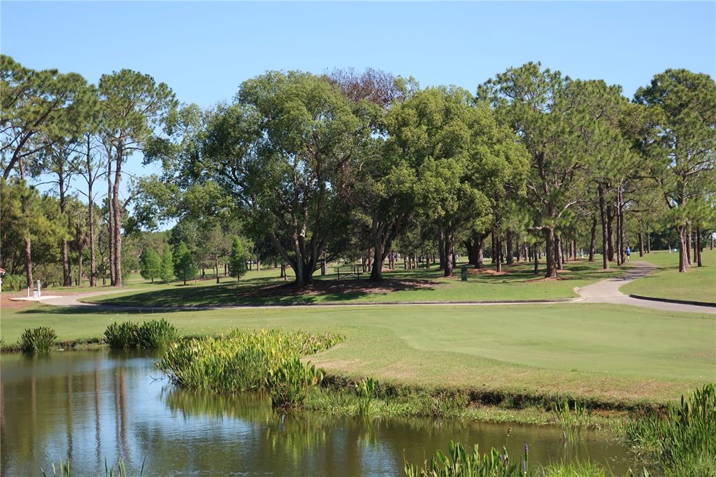 1065 Tartan Drive, Unit C Palm Harbor, FL 34684 - Photo 53 of 91
