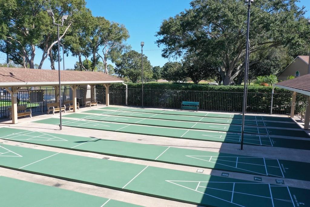 1065 Tartan Drive, Unit C Palm Harbor, FL 34684 - Photo 62 of 91