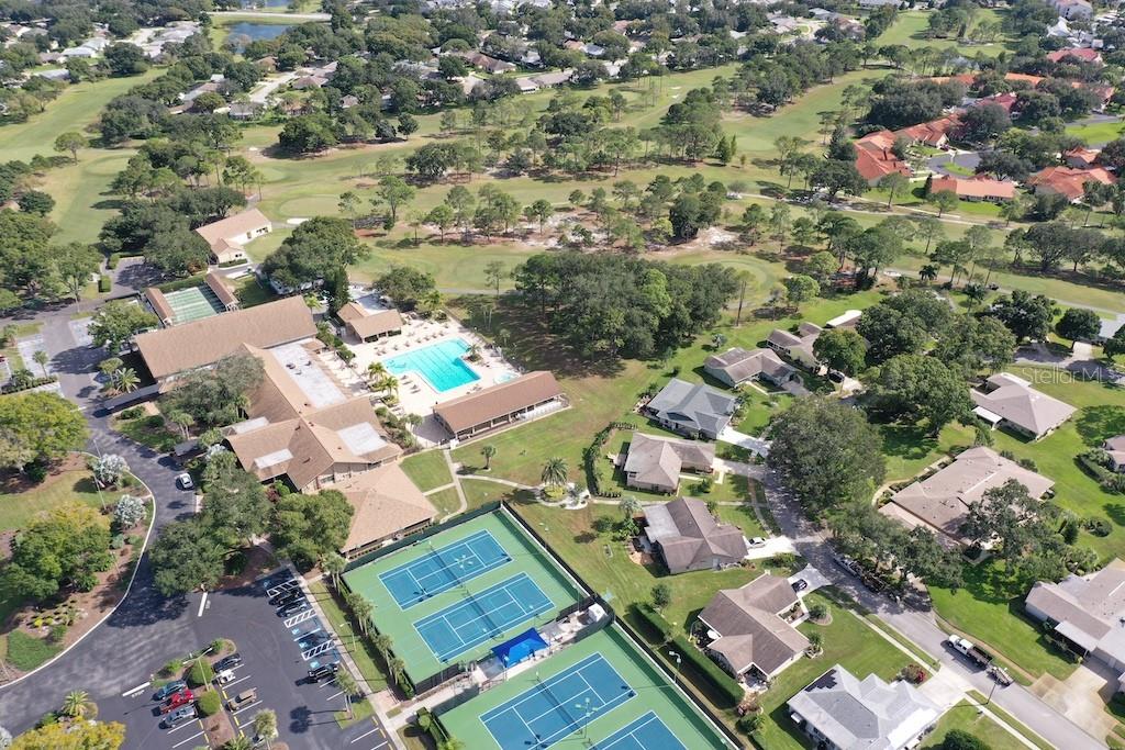 1065 Tartan Drive, Unit C Palm Harbor, FL 34684 - Photo 64 of 91