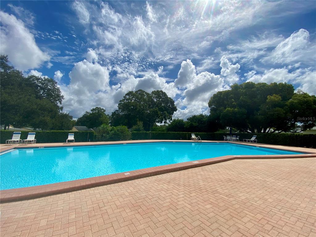 1065 Tartan Drive, Unit C Palm Harbor, FL 34684 - Photo 88 of 91