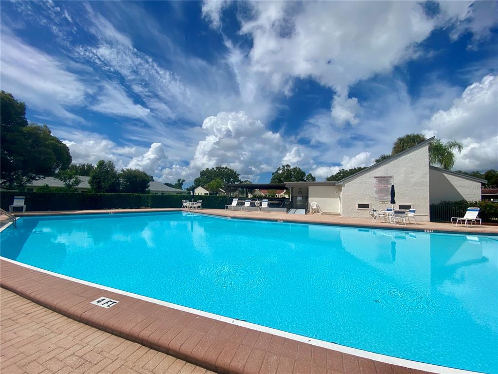 1065 Tartan Drive, Unit C Palm Harbor, FL 34684 - Photo 89 of 91 a view of a pool with lawn chairs and a yard