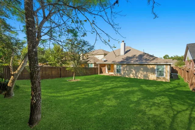 a view of a backyard with large trees
