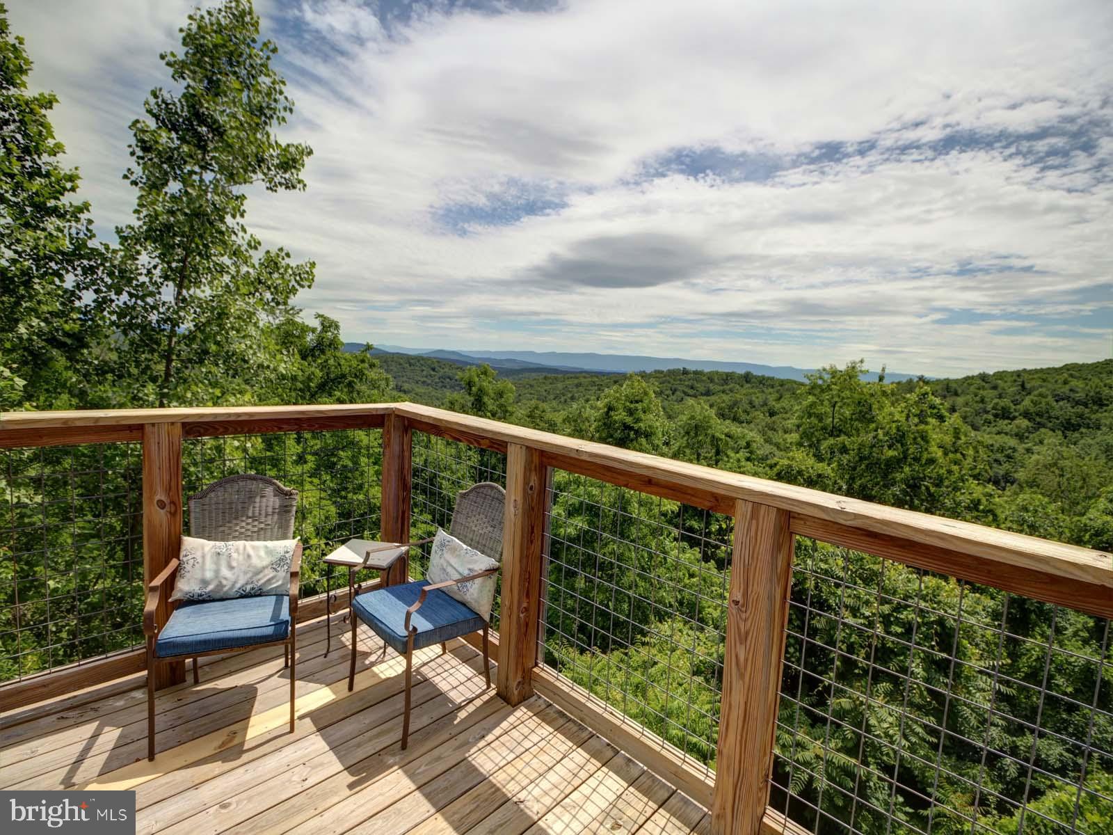 2514 Supinlick Ridge Road Mount Jackson, VA 22842 - Photo 3 of 29 Mountain Views