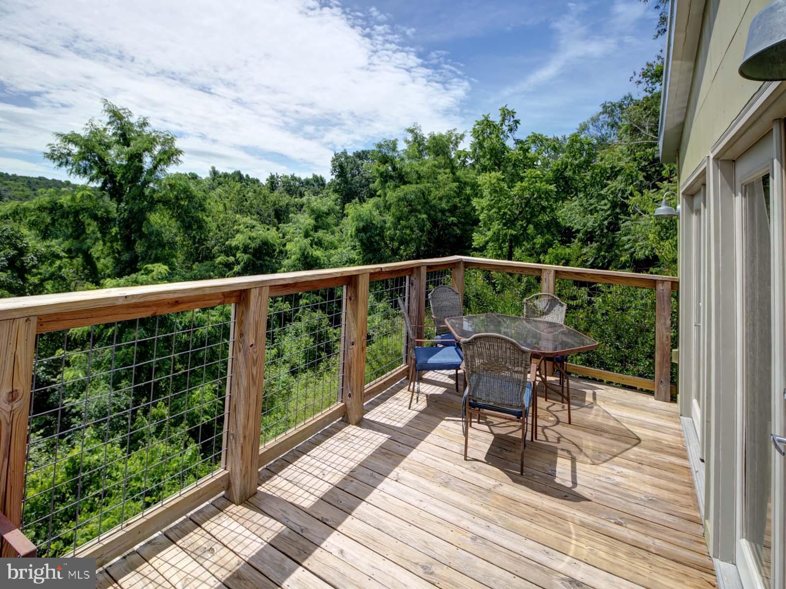 2514 Supinlick Ridge Road Mount Jackson, VA 22842 - Photo 4 of 29 Mountain Views