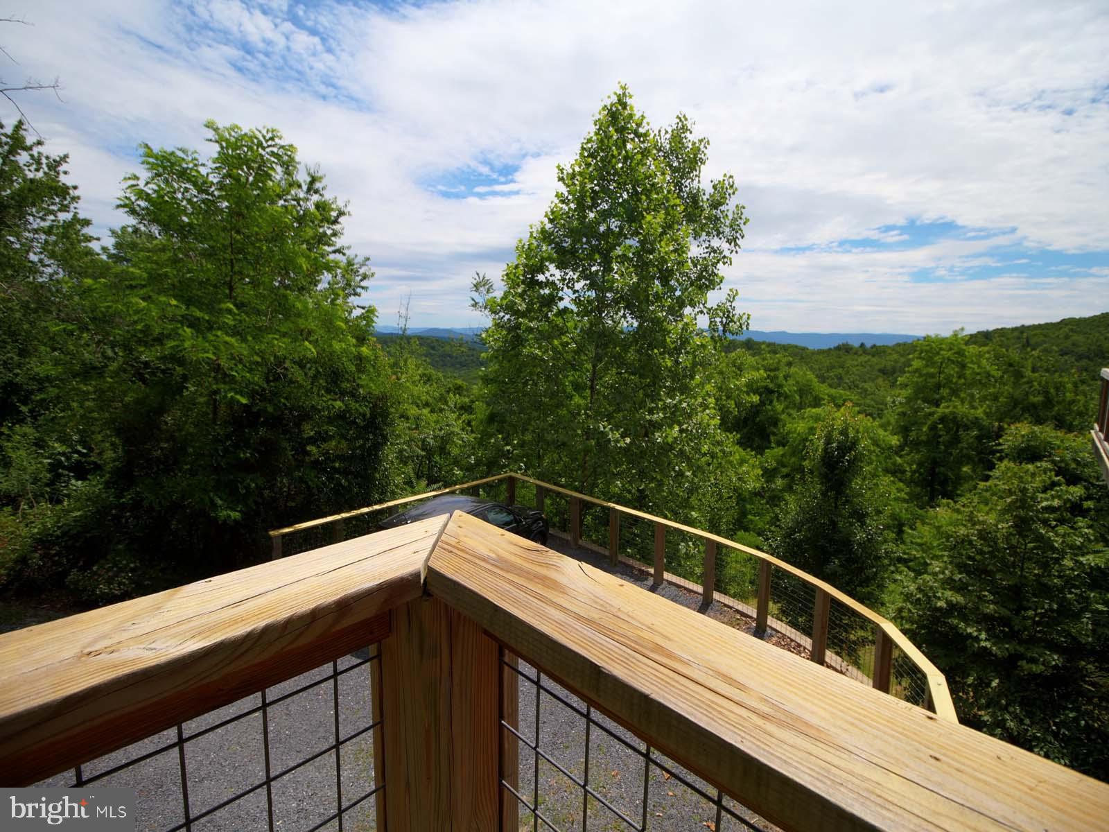 2514 Supinlick Ridge Road Mount Jackson, VA 22842 - Photo 5 of 29 Mountain Views