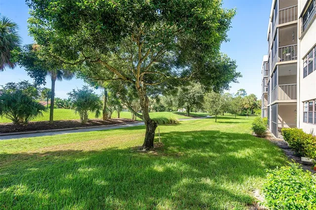 a view of a park with a tree