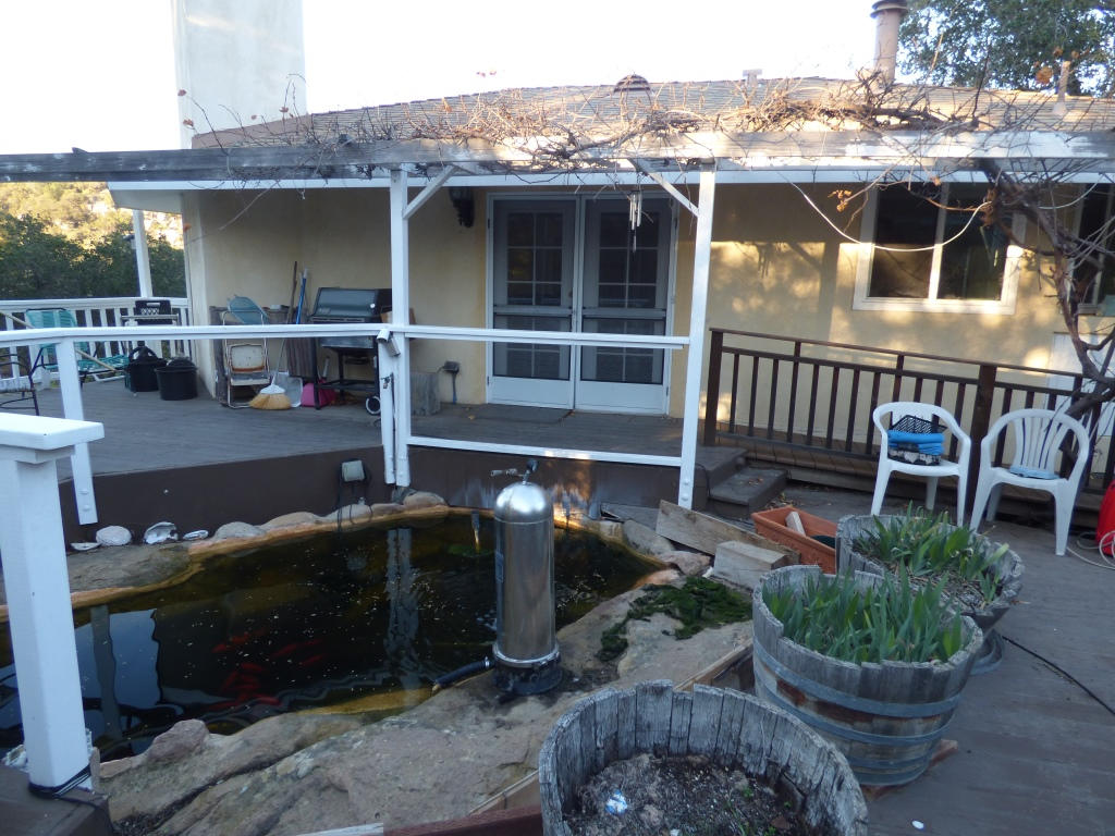 2791 Painted Cave Road Santa Barbara, CA 93105 - Photo 8 of 9 Koi Pond