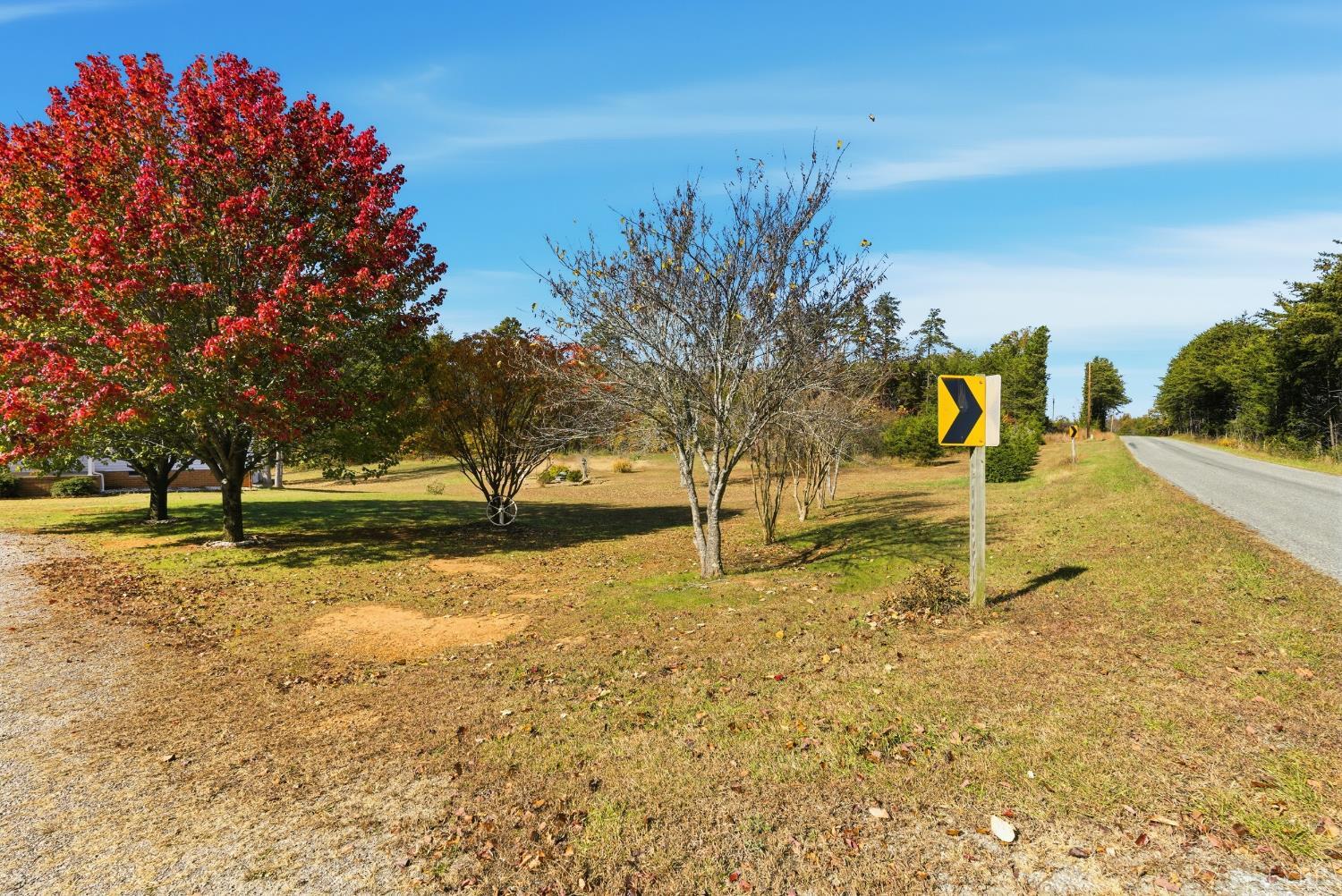 1821 Telegraph Road Gretna, VA 24557 - Photo 47 of 54 a view of yard with tree