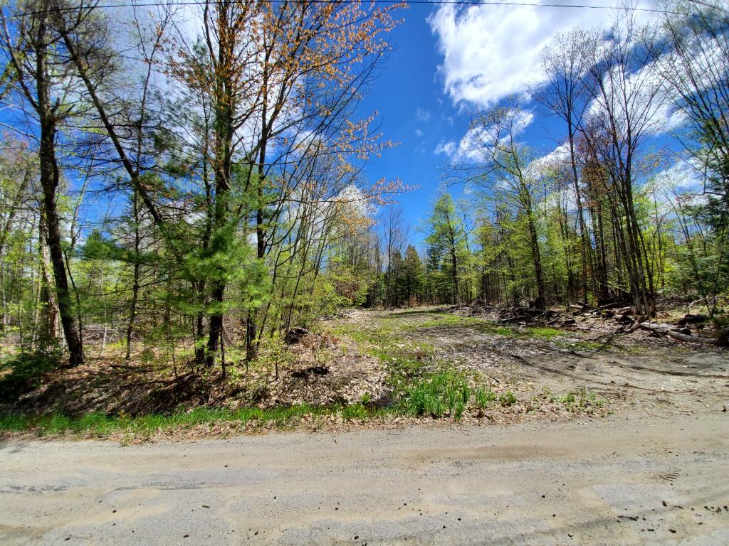 M4-l61 Intervale Road New Sharon, ME 04955 - Photo 5 of 21 20190521_105300Spring