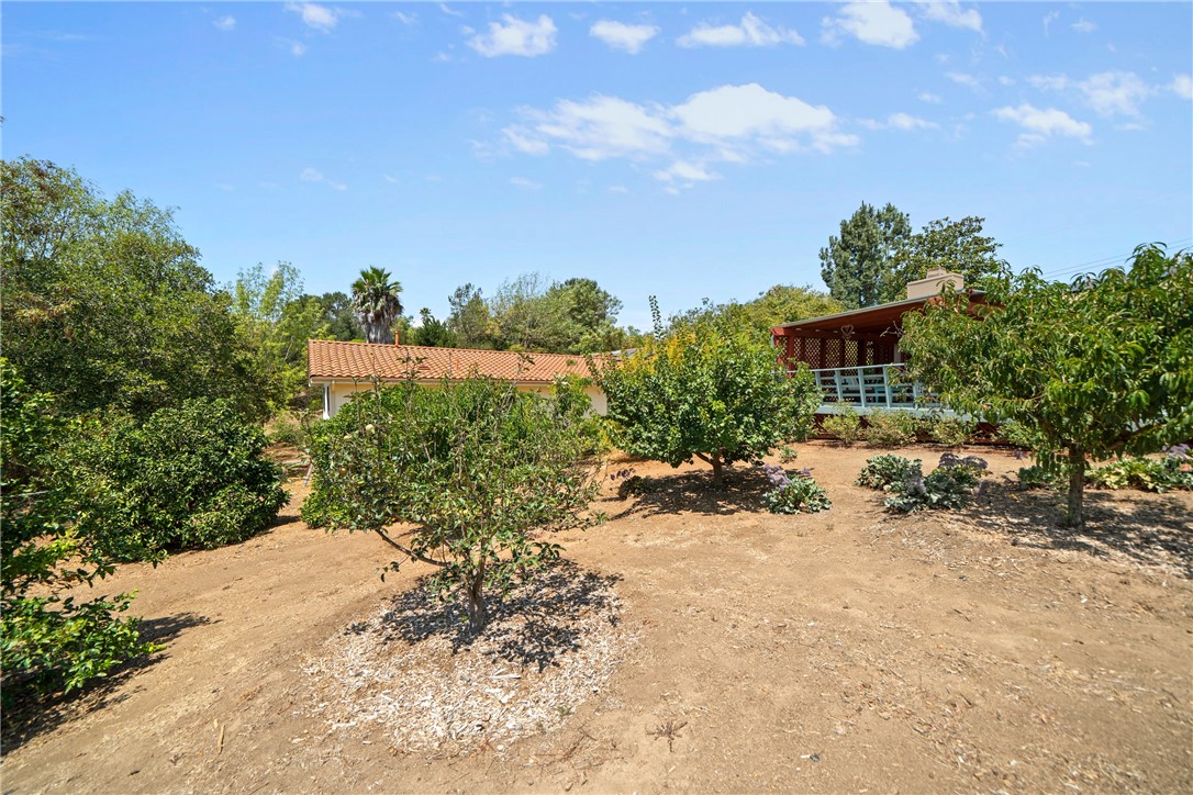 720 Carnation Lane Fallbrook, CA 92028 - Photo 31 of 45 Fruit and Nut Trees